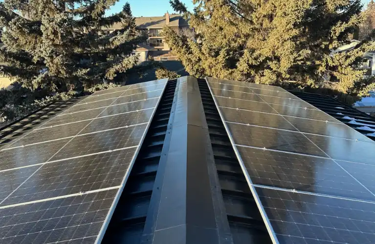 Solar panels installed on a rooftop, with rows of panels visible converging in the center, flanked by evergreen trees and residential buildings in the background under a clear blue sky.