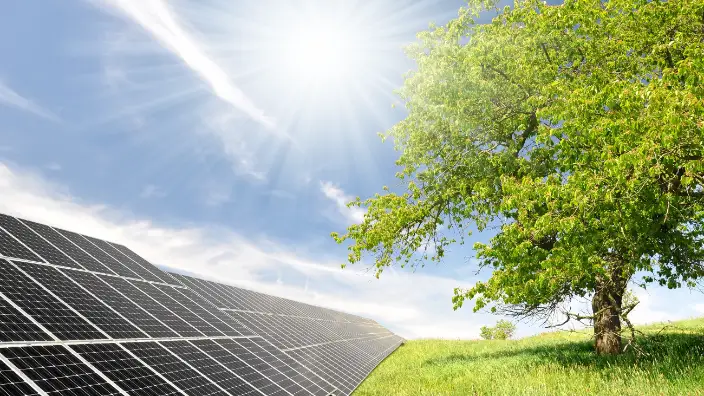 A large solar panel array in the foreground with lush green grass, next to a vibrant green tree under a clear blue sky with the sun shining brightly, symbolizing renewable energy and sustainability.
